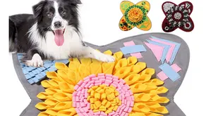 5 Must-Haves For Dog Parents