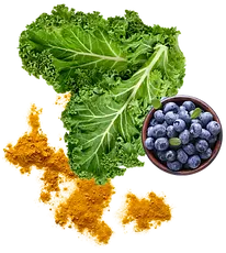 11.png